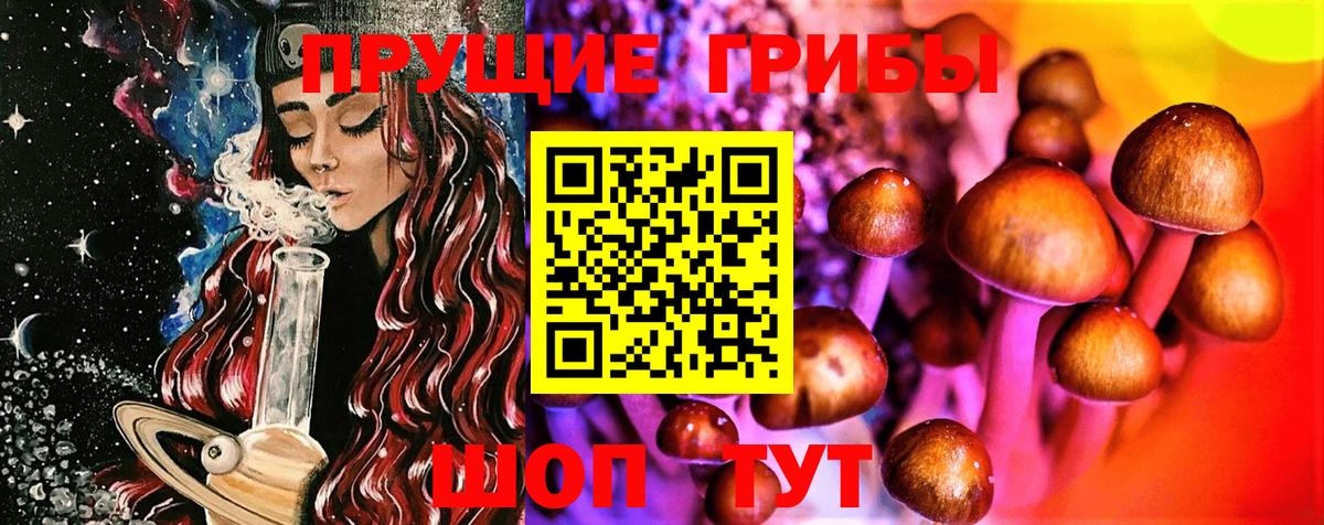 Видное  Галлюциногенные грибы Psilocybine cubensis  Галлюциногенные грибы ЛСД  купить   Вход с VPN 